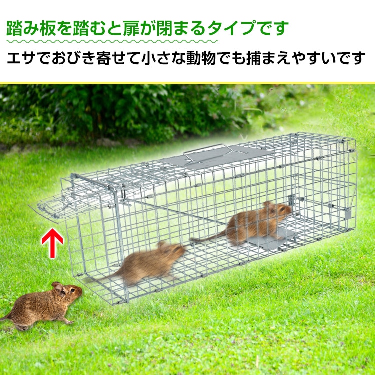 捕獲器 踏み板式 折りたたみ収納 ガード付き 害獣駆除 害獣対策 庭 畑 農業 家庭菜園 pt060-s - 画像 (2)
