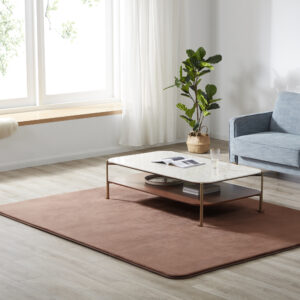 ラグ ラグマット はっ水 極厚20mm 抗菌防臭 200×200cm カーペット 厚手 滑り止め 洗える 角型 撥水 床暖房 ホットカーペット おしゃれ 防カビ TH307842CAA