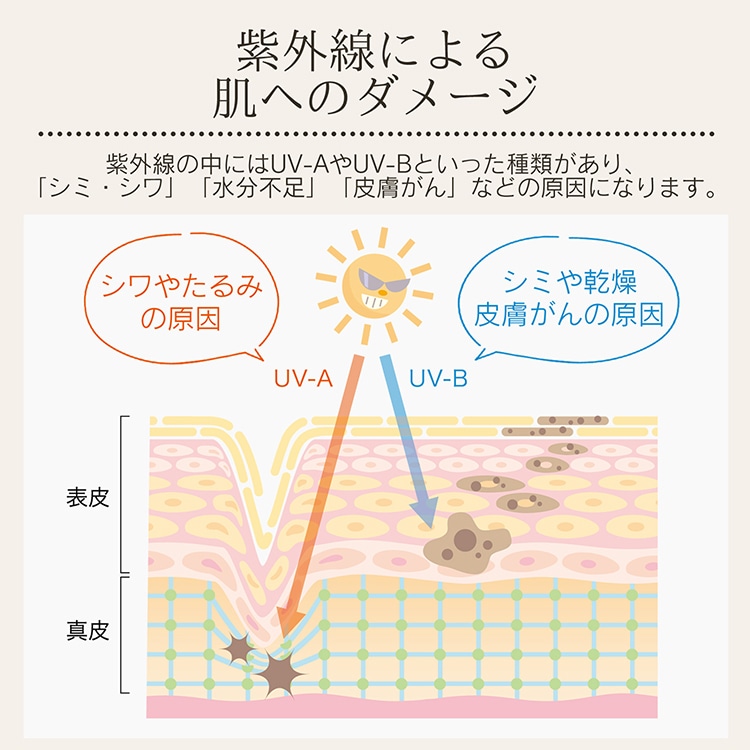 花びら傘 長傘 雨傘 UVカット UPF50+ 遮熱 遮光 晴雨兼用 軽量 レディース かわいい おしゃれ プレゼント sg274 - 画像 (5)