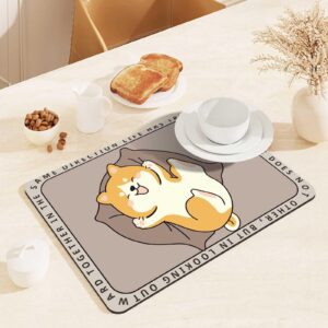 X30  珪藻土マット 防臭 吸水性・速乾性 珪藻土 バスマット SGS安全認証取得 バスマット 足拭きマット 抗菌 珪藻土 厚い 柔らかい 大きめ バスマット 洗面所 玄関 柔らかい 洗濯可能 収納便利 バスマット 洗面所 マット 珪藻土バスマット 珪藻土 バスマット